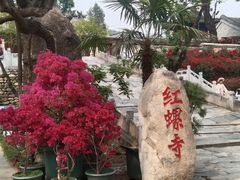 -红螺寺