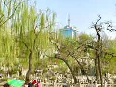 -文瀛公园