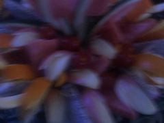 -皇马纯KTV(景田店)