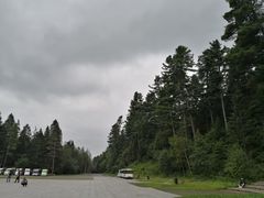 -五营红松林海景区