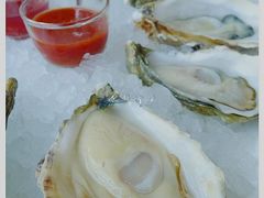 -Oyster Talks 四度蚝法餐厅