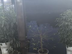 -老杨砂锅鱼庄