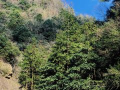 景点-太湖源风景区