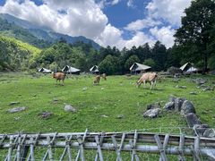 -硗碛藏寨·神木垒景区