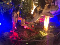 -恐龙探索乐园(磁器口店)