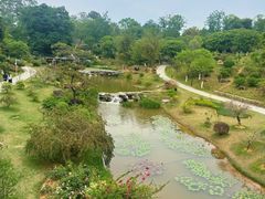 -东莞植物园