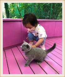 -萌宠亲子动物乐园(槐房万达店)