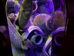 -太平洋海底世界