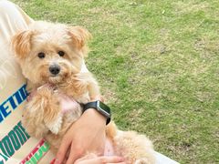 -萌宠主义宠物生活馆(金山路店)