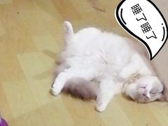 -星巴克(南京鼓楼吾悦广场店)