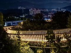 -福道