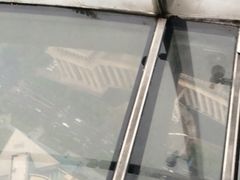 -东方明珠国际旅行社有限公司