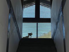 -MOJ coffee(瓯海泽雅水碓坑店)