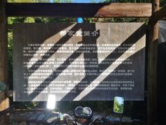 -杨家堂村