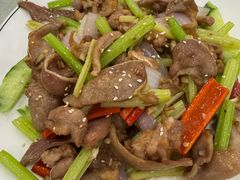 沙姜猪俐-姚林轩