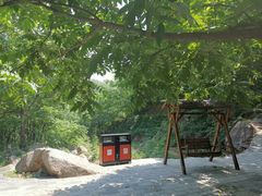 -大岭沟猕猴桃谷风景区