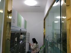 -汪喵宠物医院·骨科心脏影像·犬猫急重症ICU诊疗中心(成华分院)