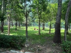 -秦皇岛野生动物园