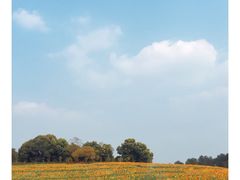 -保利石象湖景区