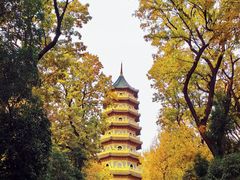-灵谷景区