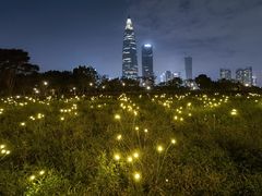 -深圳湾公园(南山区)