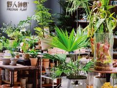 -瑞虹新天地月亮湾