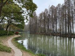 -无锡蠡湖国家湿地公园-蠡园