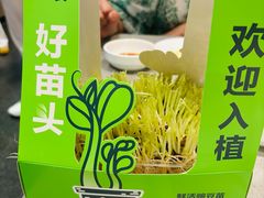 -海底捞火锅(高新万达广场店)
