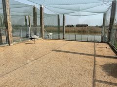 -盐城丹顶鹤湿地生态旅游区