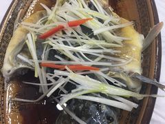 -乡土特色.冷锅鱼.牦牛肉汤锅