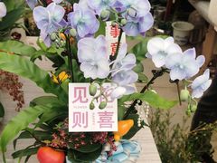 -南京市江宁方山