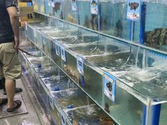 -三亚夏威夷大酒店