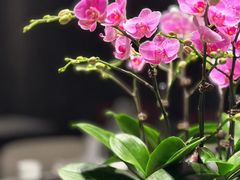 -望京辣宴·古法川菜(望京店)