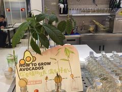 -Mr.Fruits水果先生(英蓝金融中心店)