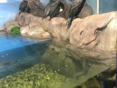 -苏州海洋馆