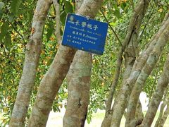 -中国科学院西双版纳热带植物园