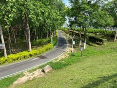 -合肥滨湖国家森林公园