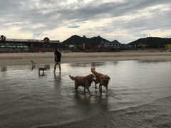 -嵊泗基湖沙滩