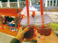 -荔湾湖公园