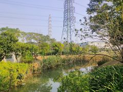 -王借岗森林公园