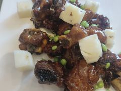 -三亚福朋喜来登酒店·大堂吧