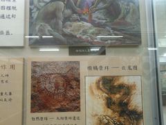 -北京中医药大学-中医药博物馆