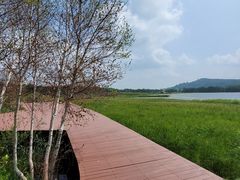 -塞罕坝国家级自然保护区