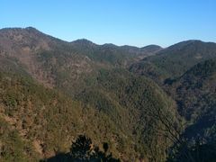 -四明山国家森林公园