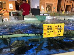 水产区-友鹏海鲜(新宜白大道店)