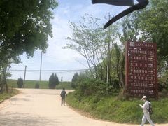 -青龙山国家森林公园