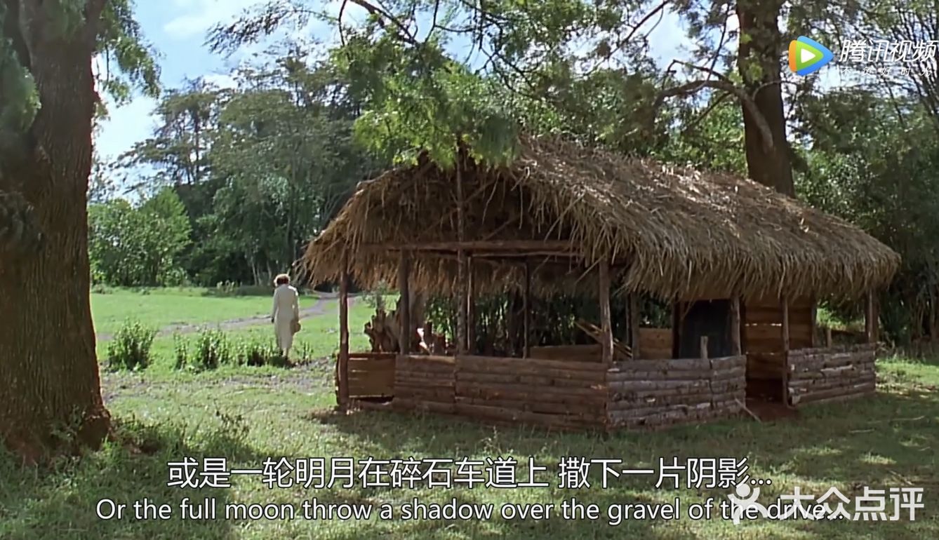《走出非洲》印象