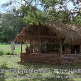 《走出非洲》印象
