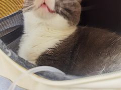 -美联众合动物医院·24h京西诊疗中心