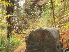 -铁山坪森林公园